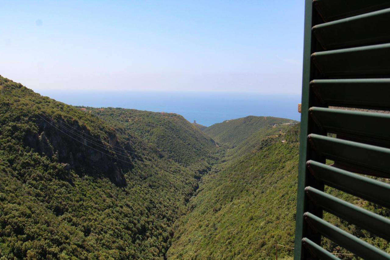 Affittacamere Pantaleone Camerota Buitenkant foto